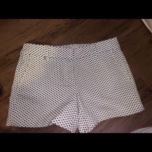 NWOT loft shorts!
